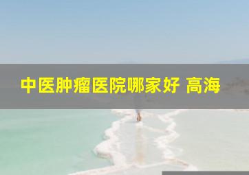 中医肿瘤医院哪家好 高海